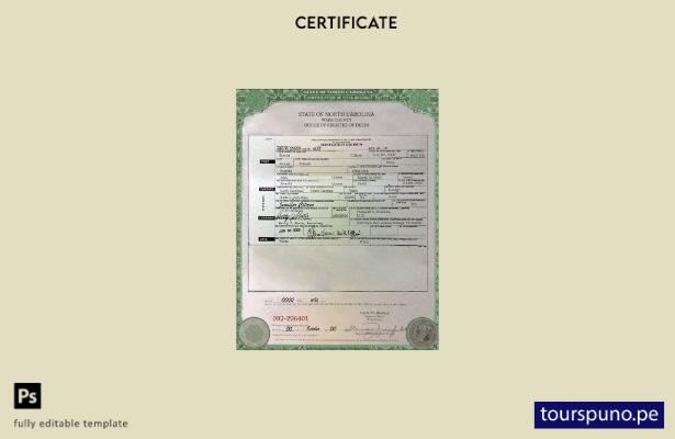 Plantilla de certificado de nacimiento de Carolina del Norte de EE. UU. lista pa
